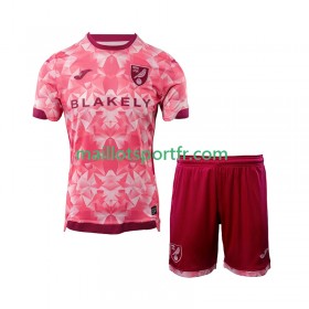 Maillot de Foot Norwich City Enfant Troisieme 2025/26